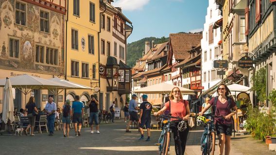 Escursione di mezza giornata alle Cascate del Reno e alla città vecchia di Stein (partenza da Zurigo)