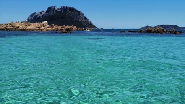 Olbia: Dinghy tour to the islands of Tavolara and Molara, swimming and snorkeling
