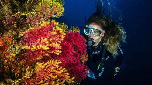 Dubai Attraction: Bermuda Diving Center Day Tours 9