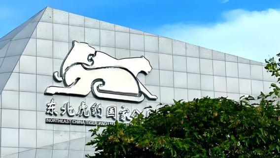 Hunchun Siberian Tiger and Leopard Science Museum + Fangchuan + Jingxin Wetland private charter 1-day tour for 2-6 people