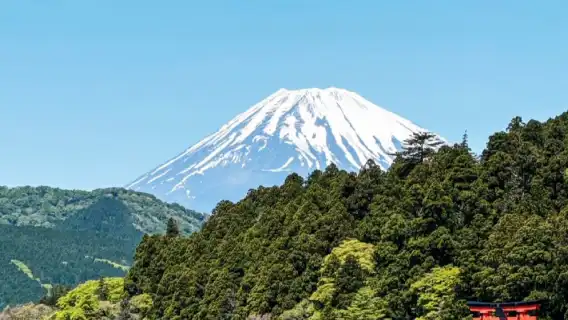 箱根蘆之湖遊船+箱根神社+陽光沙灘+熱海花火大會一日遊