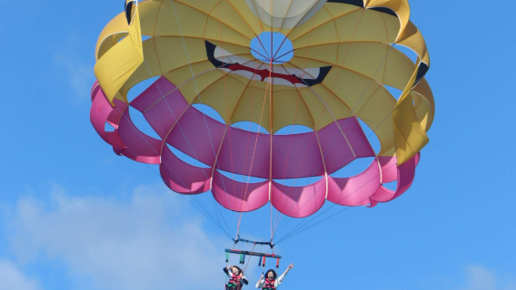 골드코스트 패러세일링 체험