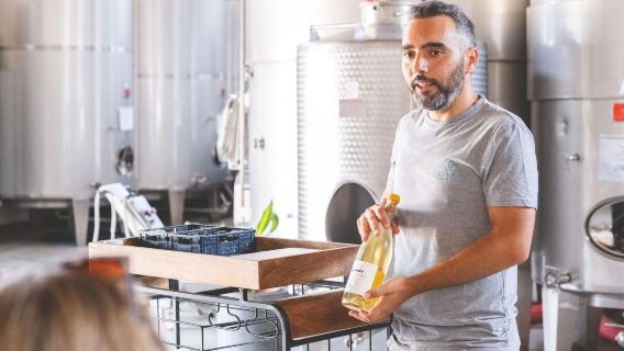 Sicily Winemaker Morning Experience