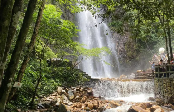 廣西賀州姑婆山+玉石林+永豐湖濕地公園包車一日遊可中英文服務