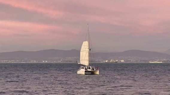 開普敦一日遊聖喬治大教堂+馬來區+藝術博物館+桌山+植物園