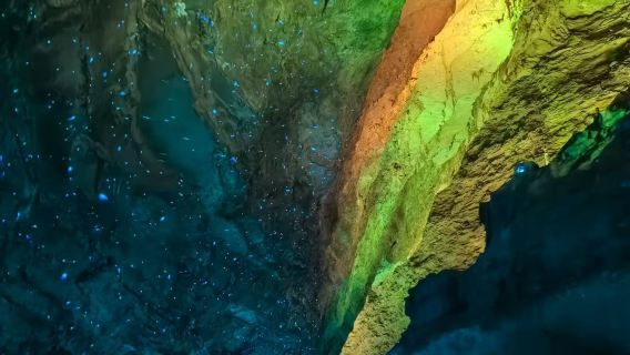 Excursion à la journée en voiture avec chauffeur à la grotte du Dragon Jaune de Zhangjiajie, Chine (8 heures avec chauffeur francophone)