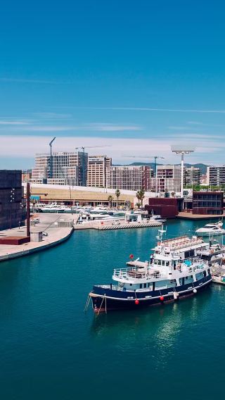 Auckland join-in 1-day tour: downtown | north shore | beach | rainforest | Piha Beach (English group)