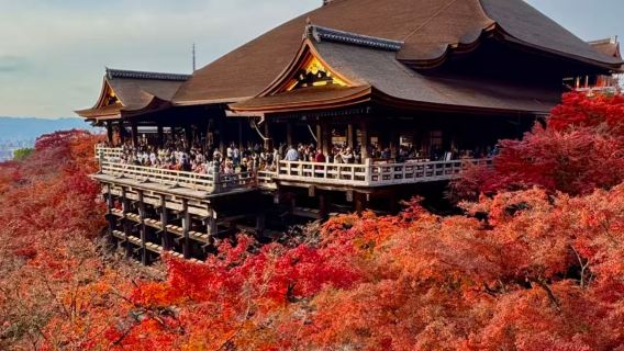 京都+柳谷觀音+楊谷寺+嵐山+清水寺一日遊【中文導遊+接駁】