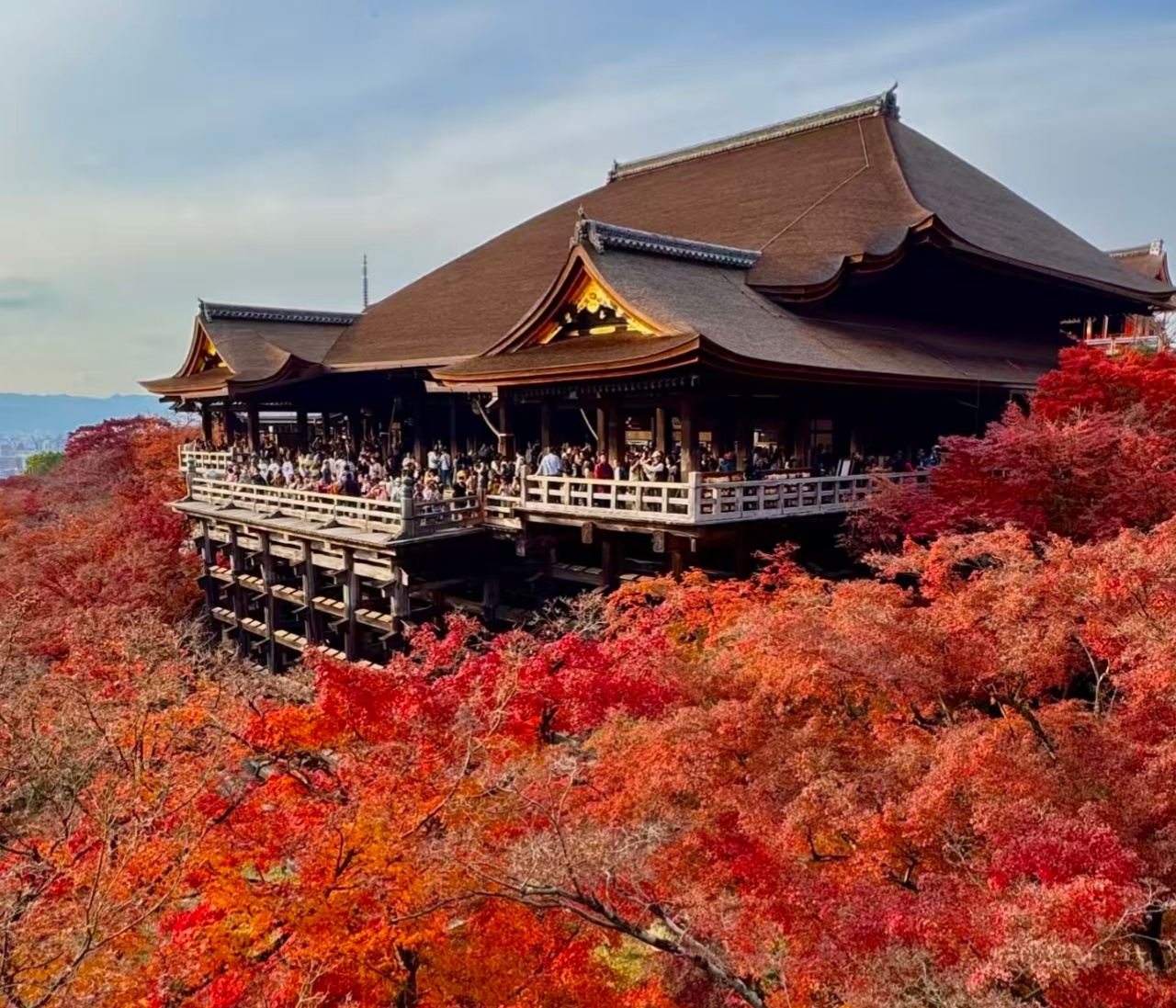京都+柳谷觀音+楊谷寺+嵐山+清水寺一日遊【中文導遊+接駁】