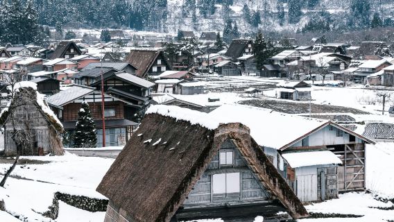 【少人数ガイド付き解説】名古屋発クラシックワンデーツアー:白川郷&高山古い町並み