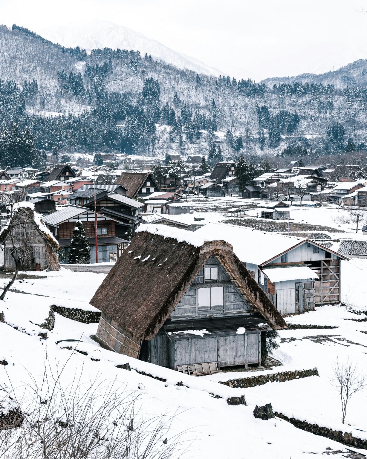 [Small group with guide] Classic 1-day tour from Nagoya: Shirakawa-go & Takayama Old Town