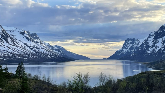挪威特羅姆瑟-塞尼亞島一日遊【包車-跟團詢顧客服務中心】