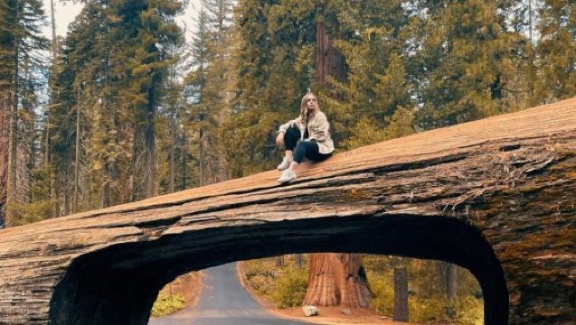 San Francisco round-trip to Yosemite National Park and Sequoia National Park - private charter - top pick