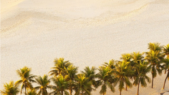 Rio de Janeiro Classic Attractions - Christ the Redeemer/Escadaria Selarón/Beaches - Chinese Private Charter