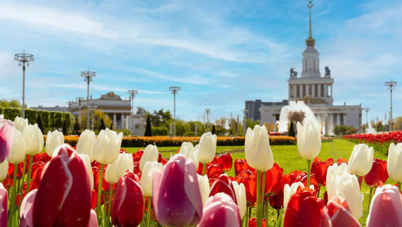 Moscow Sheremetyevo International Airport - City Center - Private Point-to-Point Airport Transfer/Drop-off