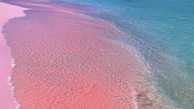 Île Maurice aéroport | Chauffeur anglophone pour accueil à l'aéroport/transfert aéroport