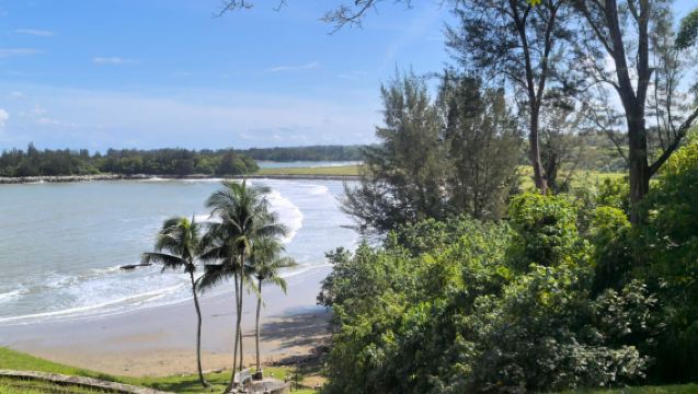 Lawatan Sehari Sewaan Peribadi di Brunei (Penghantaran dari Pelabuhan Kapal Persiaran/Lapangan Terbang)