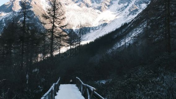 成都-畢棚溝景點接駁車（2+1保姆大巴單程/來回可選）