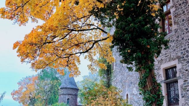 德國法蘭克福*布勞恩費爾斯城堡一日遊