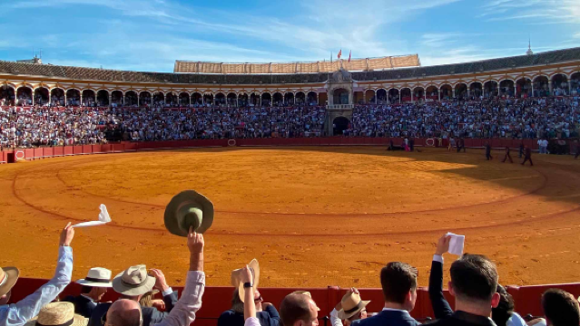 Real Maestranza de Caballeria de Sevilla + Triana + Alameda de Hercules + Flamenco Dance Museum + Theater