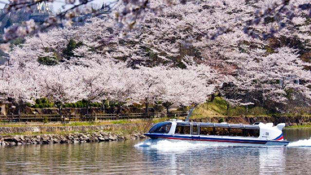 1-day tour from Nagoya | Enakyo Pleasure Boat and Takato Castle Park Cherry Blossom Viewing at Three Major Cherry Blossom Spots