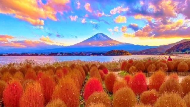 [Seasonal Sakura Viewing]Mount Fuji Day Trip from Tokyo: Instagram-Famous Spot Hopping | Arakurayama Sengen Park&Hikawa Clock Shop&Oshino Hakkai&Kawaguchiko Lawson&Lake Kawaguchi Oishi Park