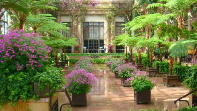 美國費城+瓦利福奇+阿米什農莊+長木花園【中文包車上門接】