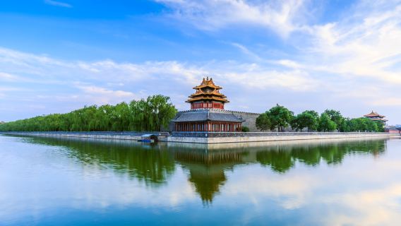 Beijing the palace museum VIP private tour [English, Russian, Spanish, French, Korean]