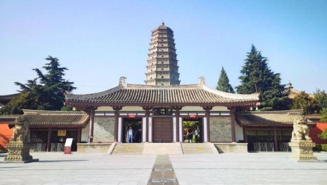 Tour di un giorno approfondito con noleggio con conducente esclusivo (ritiro mattutino entro la terza circonvallazione): Tempio Famen + Mausoleo Qianling + Mausoleo Maoling (percorso ovest) | Ideale per famiglie