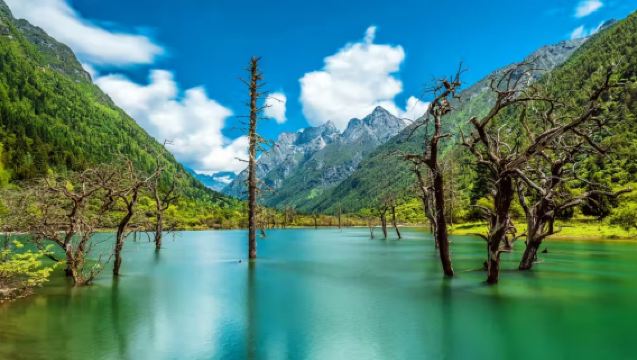 1-Day Tour to Siguniangshan Maobiliang | Private Chartered Tour Excluding Admission Ticket | Free Oxygen Canister + Mineral Water