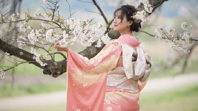 Experiência de Aluguel de Kimono, Furisode e Yukata em Tóquio | Design de Cabelo Sofisticado/Maquiagem Japonesa/Sessão de Fotos