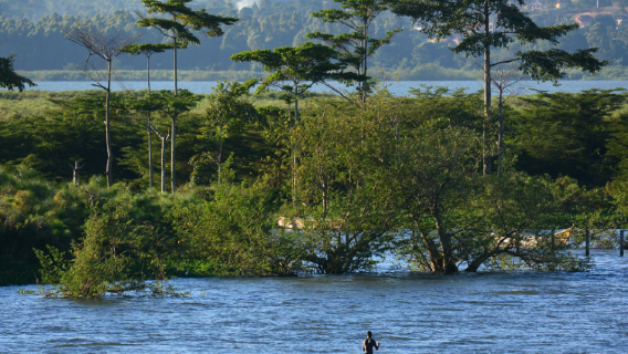 非洲烏干達恩德培專業翻譯|旅遊地陪嚮導|商務陪同拜訪|展會翻譯| 自由行地接| 行程規劃定制