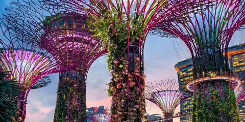 新加坡國立大學&南洋理工大學&國家博物館&國家美術館&市區重建局-講解-地陪-導遊-翻譯【VIP獨立包車】