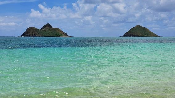 [Hawaii Amerika] Honolulu + Diamond Head + Tarikan Makapu'u - Sewaan Peribadi Tiada Tiket - Tanpa Risau