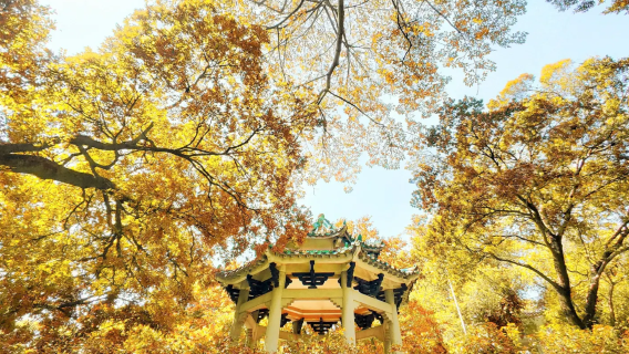 Guangzhou Zoo & Zhujiang New Town | Servicio de coche privado con conductor personalizado, itinerario ajustable, guía multilingüe 
