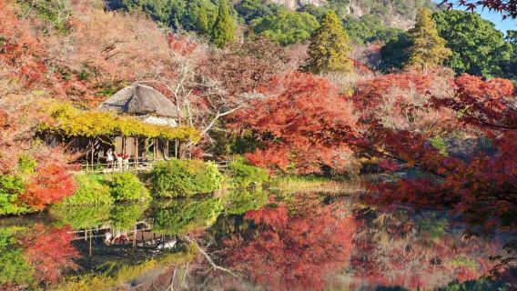 Saga · Onsen Takeo + Kuil Yutoku Inari + Taman Mifuneyama + Sewaan peribadi lawatan sehari