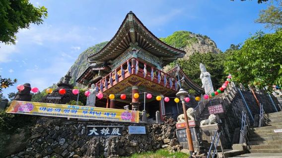Jeju: Tagesausflug zu den Sehenswürdigkeiten im Westen und Süden