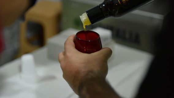 Vlore: Musai Olive Oil Tour & Tasting