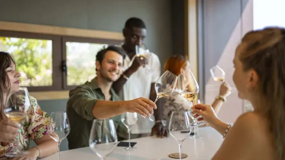 Provence Wine Tour - Small Group Tour from Cannes