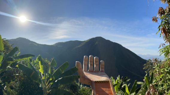 Tour de café y sabores de Antioquia (Experiencia en una granja real)