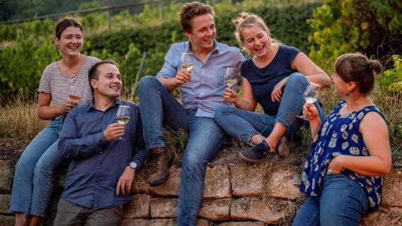 Neustadt: Wine tasting with cellar tour and vineyard visit
