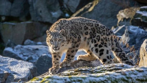 Berlin: Admission Tickets for Europe's Largest Animal Park