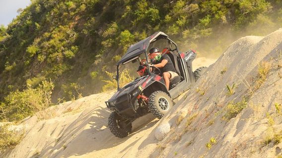 Cabo San LucasExperiences