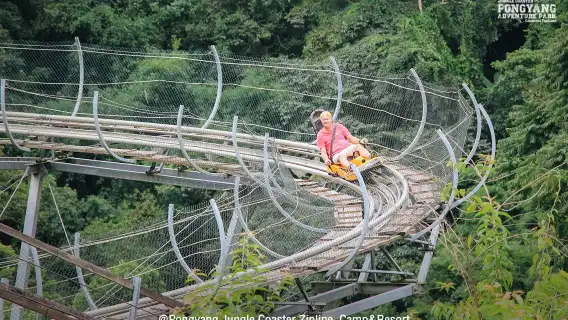 Chiang Mai Pongyang Jungle Coaster Zipline Experience