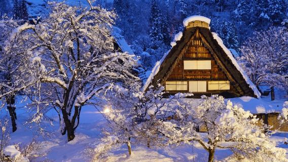 Excursión de un excursión de un día a Nagoya-Shirakawa-go e Hida-Takayama (recogida y regreso al hotel para grupos de 9 personas)|Juego puro