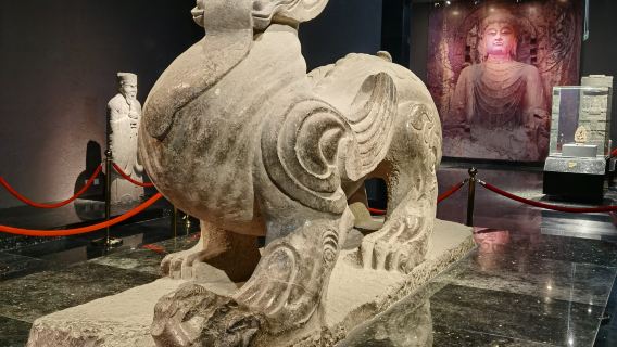 Luoyang Museum guided tour [First batch of national first-class museums|A glimpse into the 13-dynasty ancient capital's history|In-depth guide