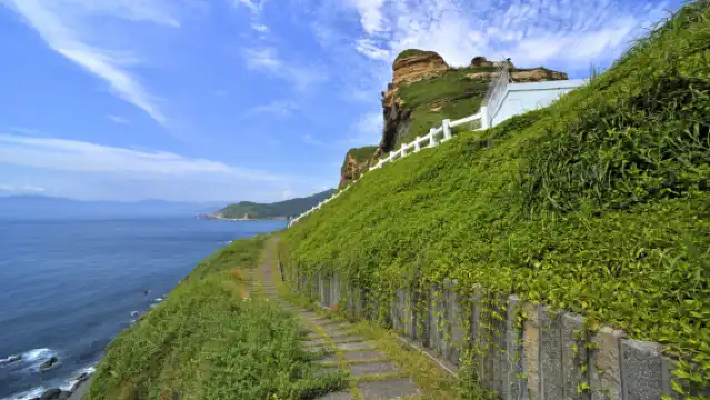 타이베이 비터우자오 공원 + 정빈 어항 + 화평도공원 + 지룽먀오커우 야시장 당일 치기 여행