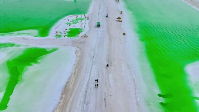 Tapak Penggambaran Pokok Kehidupan Delingha · 1 Hari di Golmud