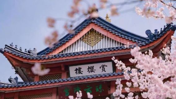 無錫黿頭渚+靈山大佛一日遊【包車團丨上門接送】醉美太湖