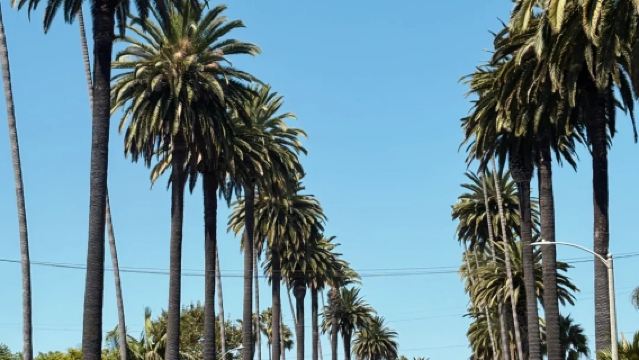 Top Pick: Private Charter Tour to Beverly Hills, Hollywood & The Getty in Los Angeles